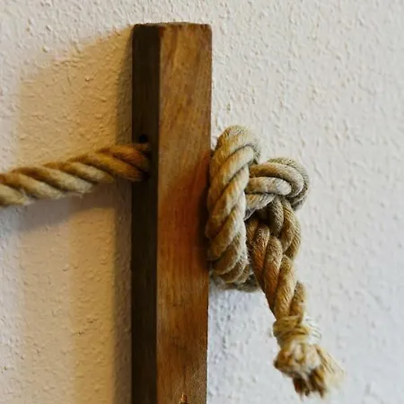 Seestern * שלוכזי