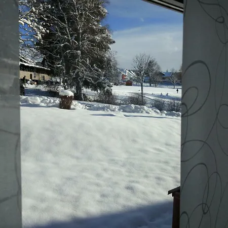 Seestern Apartment Schluchsee