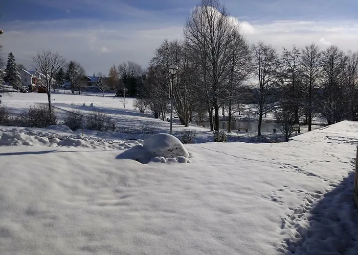 Seestern Apartamento Schluchsee